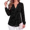 image:imageBTFBM Womens Tops Floral Sheer Mesh Long Sleeve Blouses Dressy Casual  V Neck Flocked Mesh ShirtsVelvetLike FlowersDouble LayersLoose Fit TunicsBusiness Casual TopFall Fashion Clothing 2026Black